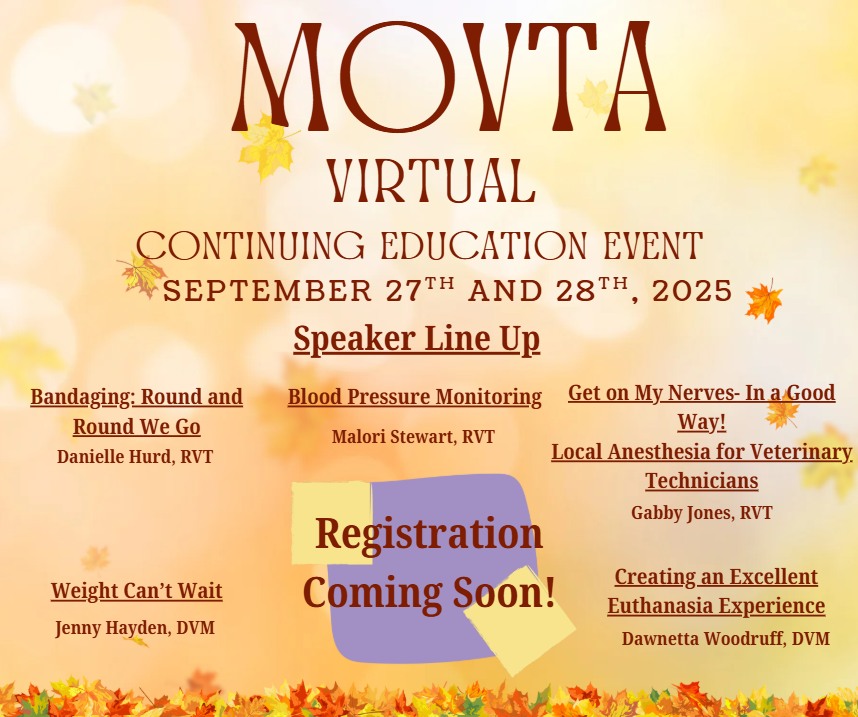MOVTA Online Conference - Day 2